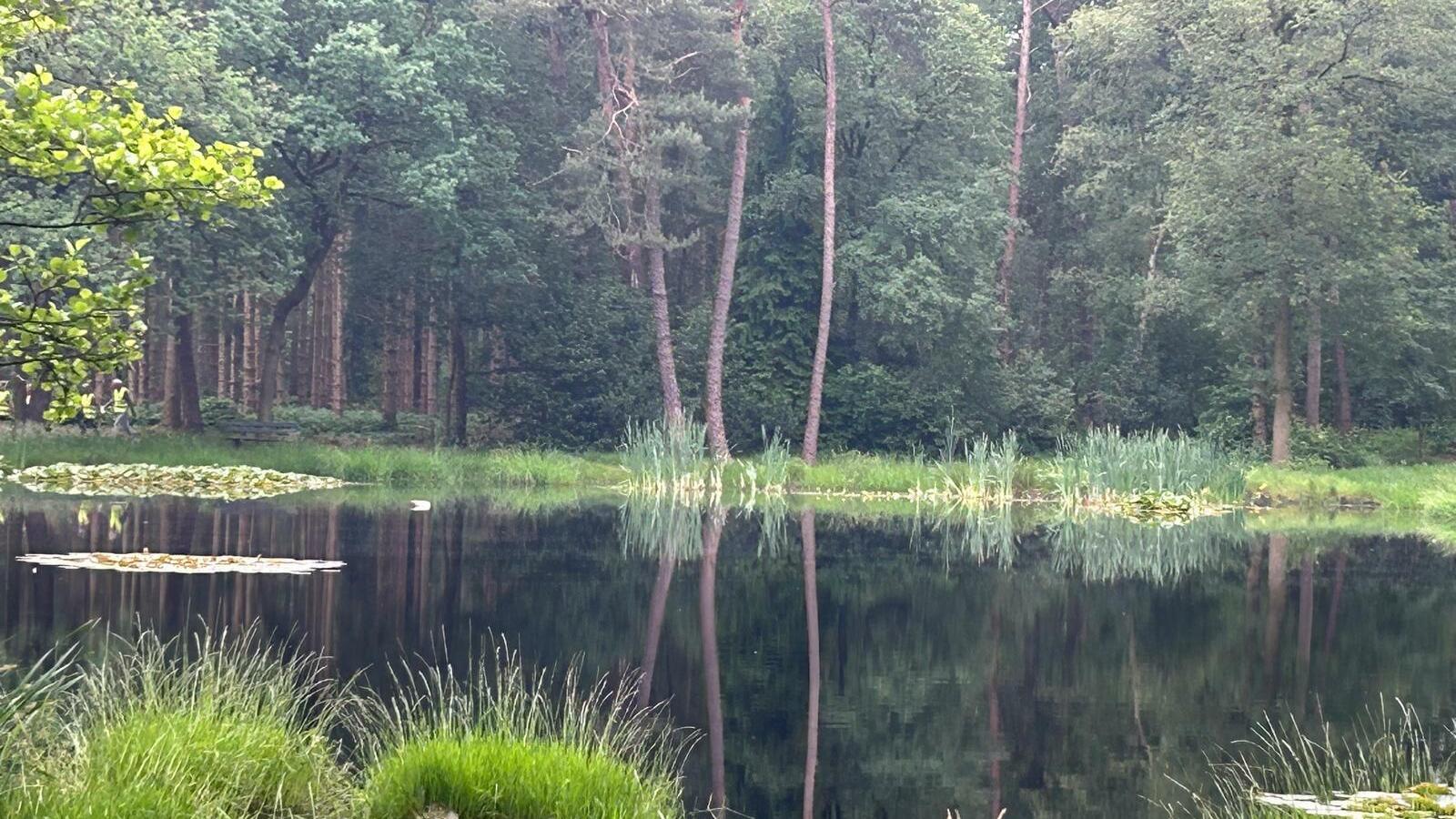 Klimaat & natuur